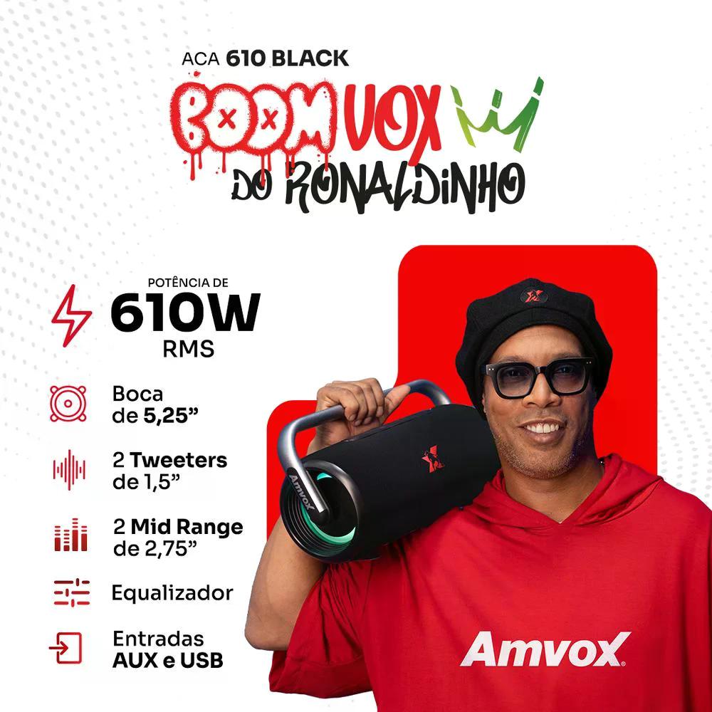 SKD CAIXA AMPLIF AMVOX ACA 310 BOOMVOX